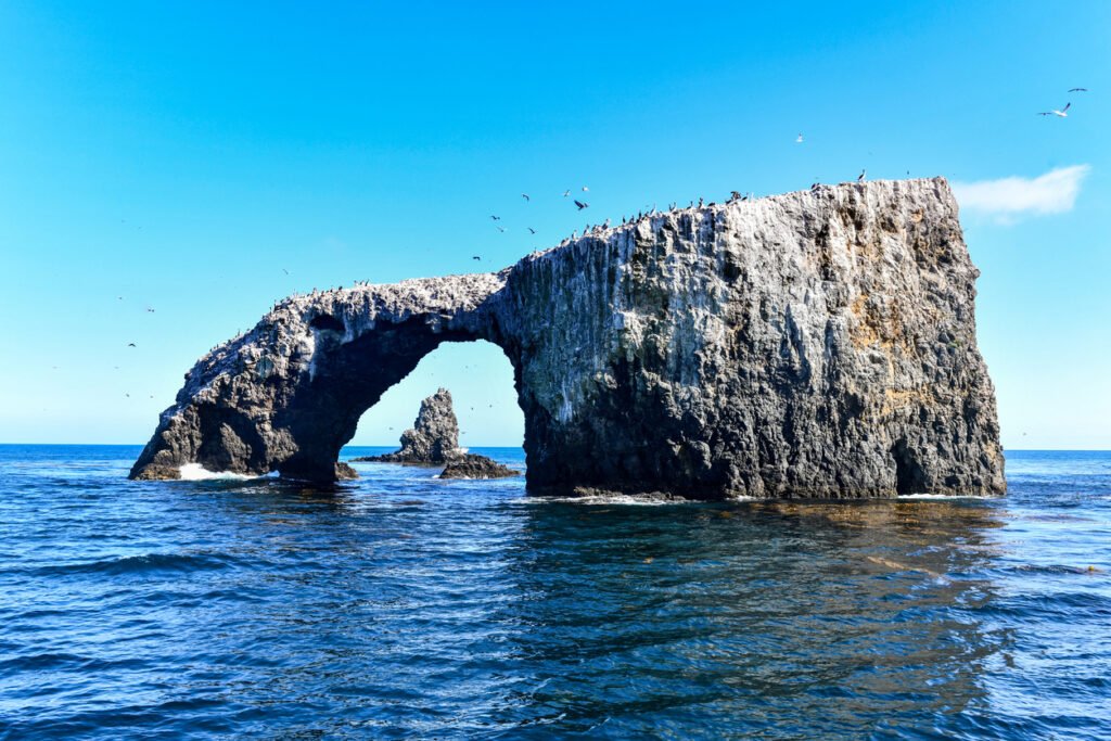 Arch Rock on Anacapa Island, within California's Channel Islands National Park, is a breathtaking natural wonder sculpted by the relentless forces of wind and water, offering a stunning vista of the Pacific Ocean.