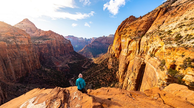 The Wholesome Reason Zion National Park Closes Some Iconic Climbs To The Public